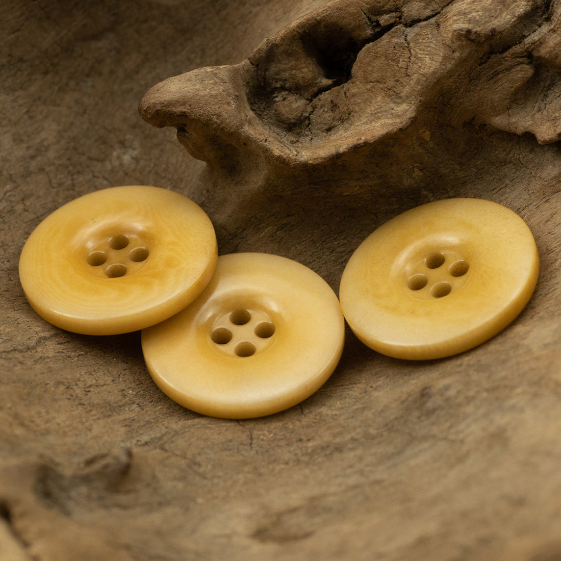 Wide-Brim Yellow Tagut Nut Buttons for Linen Cotton Suit 10pcs - Lots of Buttons