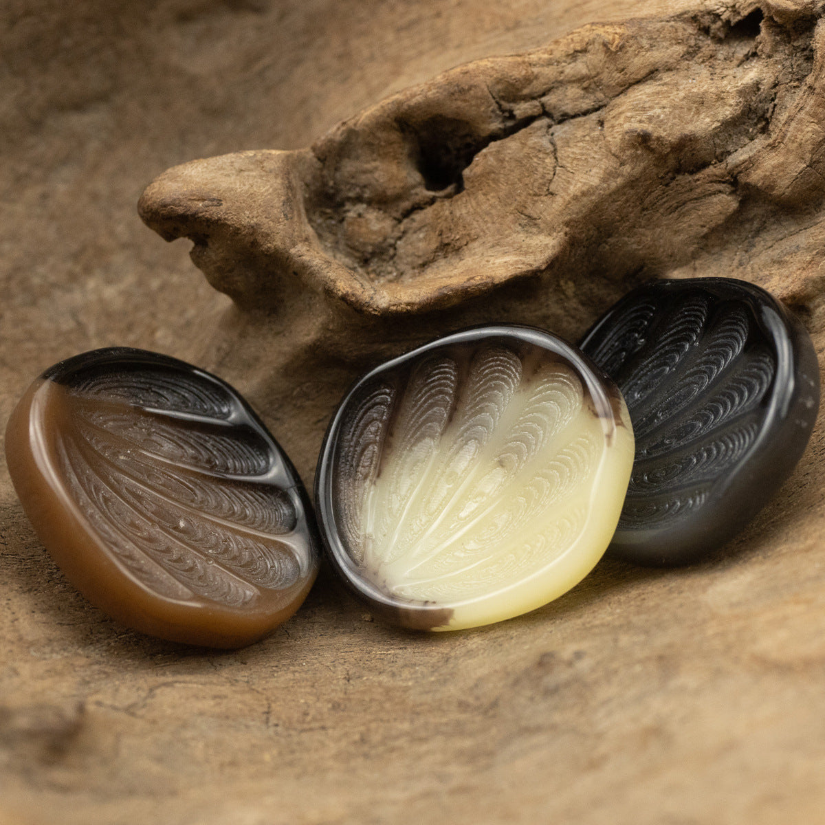 21-34mm Fan-Shaped Resin Shank Buttons with Feather Texture 10pcs - Lots of Buttons