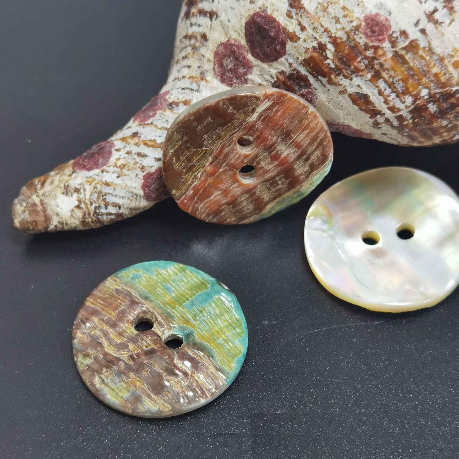 14L-40L Abalone Shell 2-Hole Knitting Buttons 9-Size 99 Pack