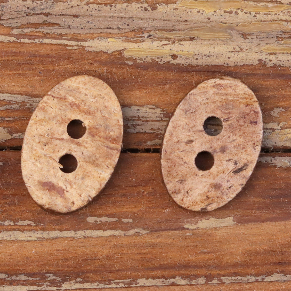 24L Oval Natural Coconut Shell Two-Hole Buttons for Kids' Clothing 20pcs - Lots of Buttons
