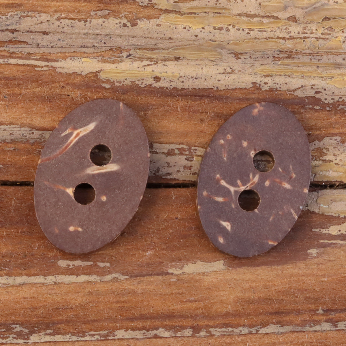 24L Oval Natural Coconut Shell Two-Hole Buttons for Kids' Clothing 20pcs - Lots of Buttons