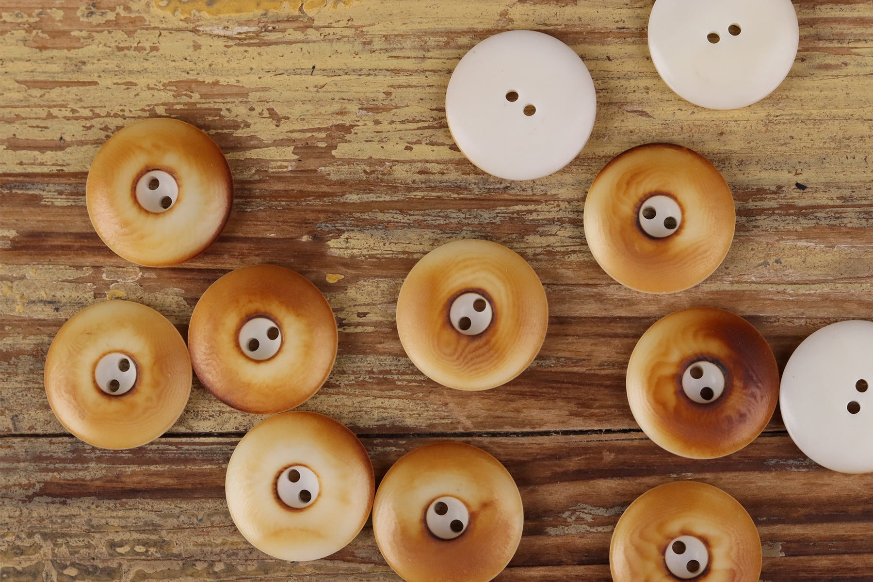 Natural Seed Thick-Edge Round 2-Hole Buttons – 48pcs | 15/18/20/23mm Assorted