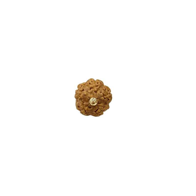 9mm Irregular Brown Fruit Seed &amp; Shell Buttons 20pcs