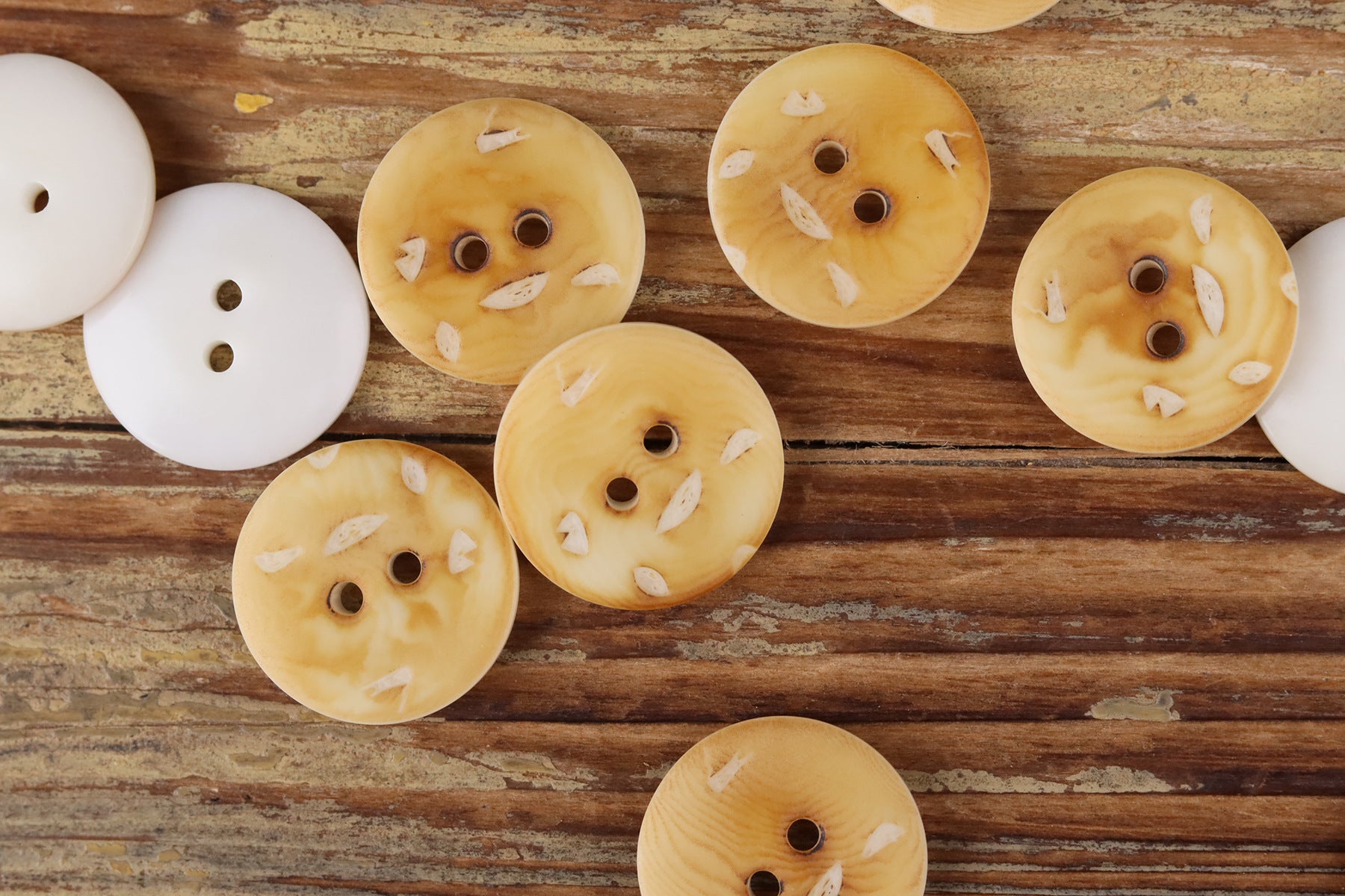Natural Nut Round Flat 2-Hole Buttons – Artisan Vintage Style – Set of 20