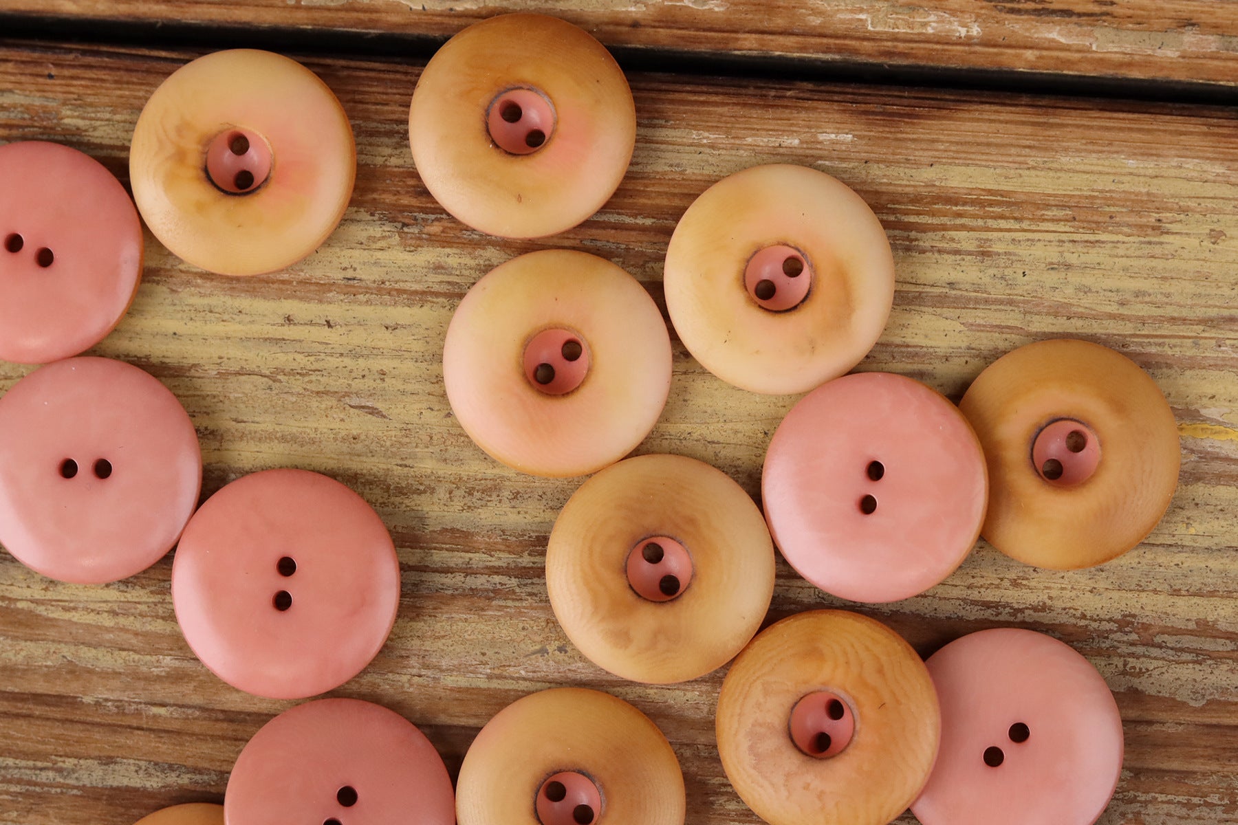 Natural Seed Thick-Edge Round 2-Hole Buttons – 48pcs | 15/18/20/23mm Assorted