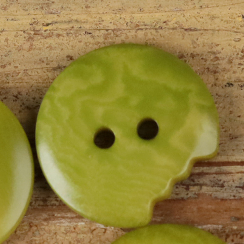 Brown irregular seed button with two holes, natural two-piece edge detail.