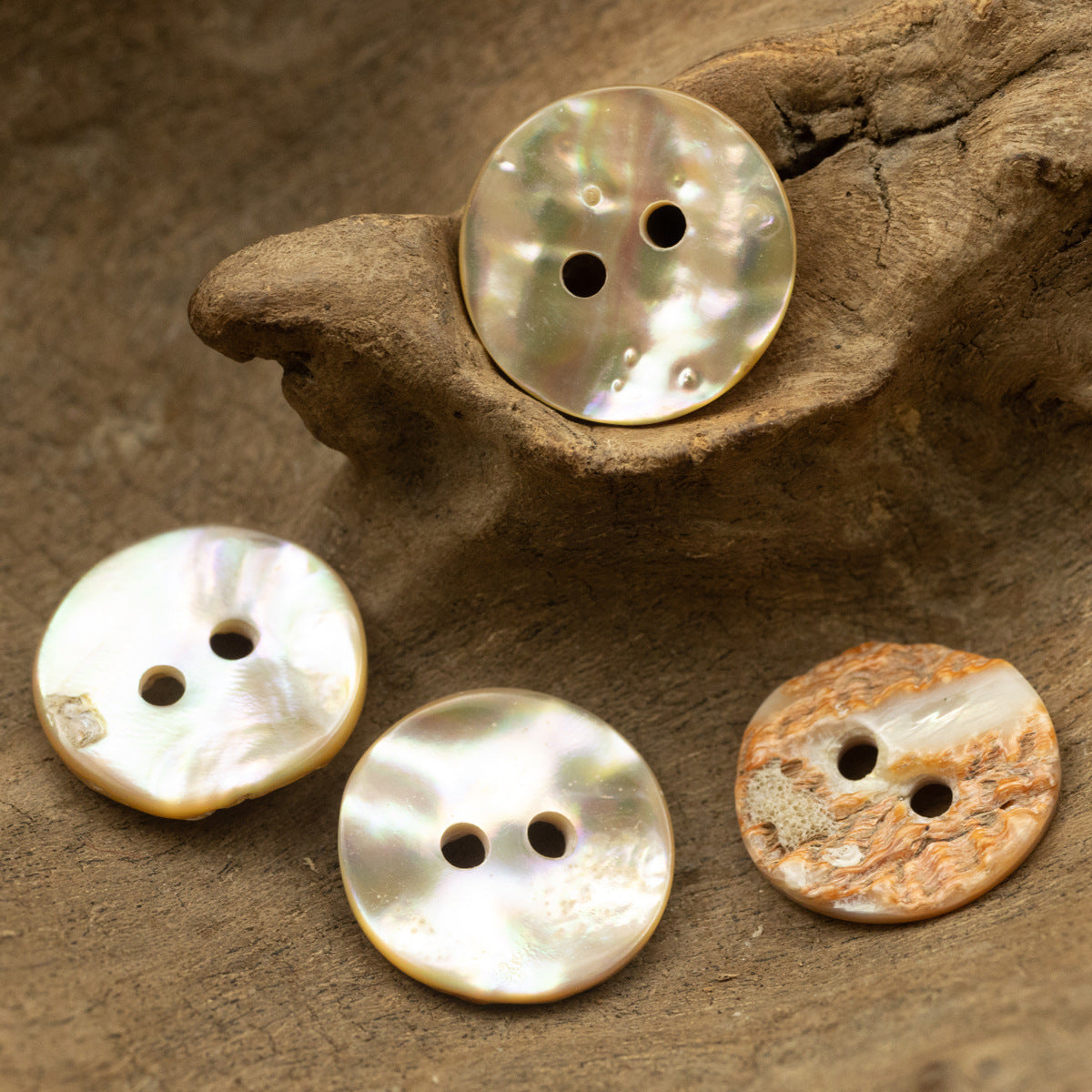 Irregular Curved Natural Abalone Shell Buttons 10 Pack - Lots of Buttons