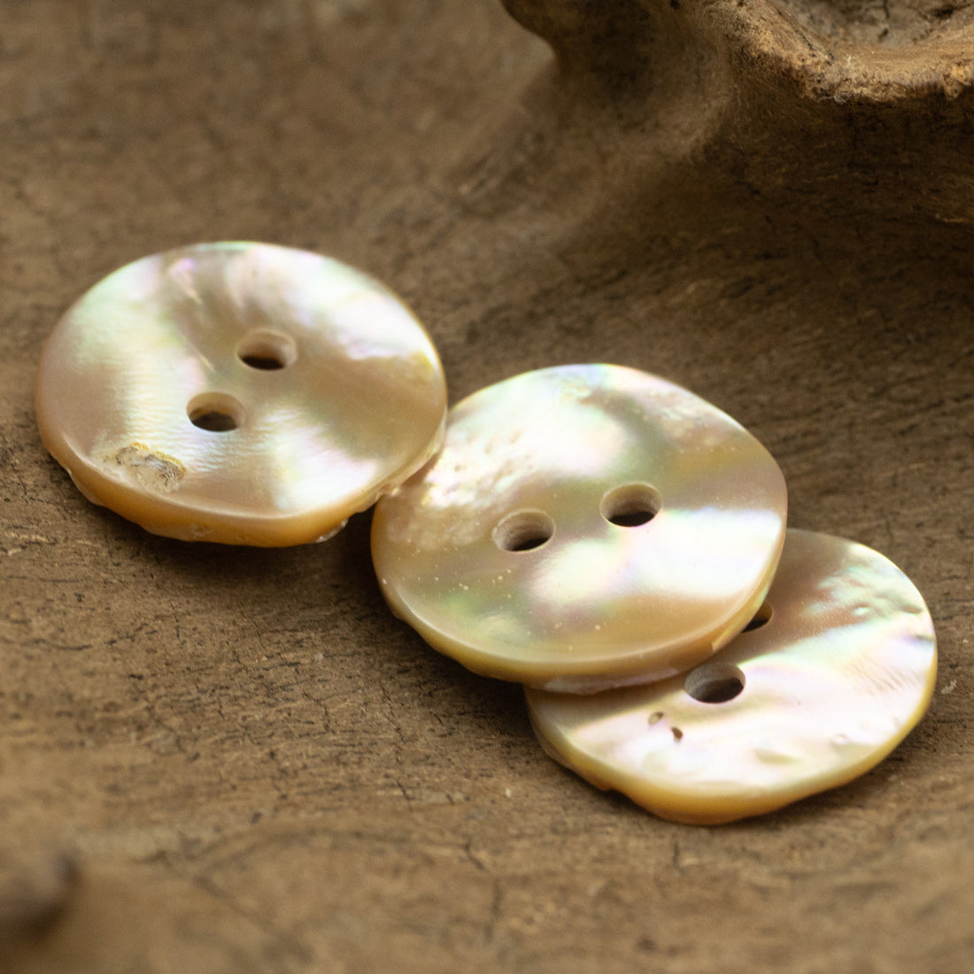 Irregular Curved Natural Abalone Shell Buttons 10 Pack - Lots of Buttons