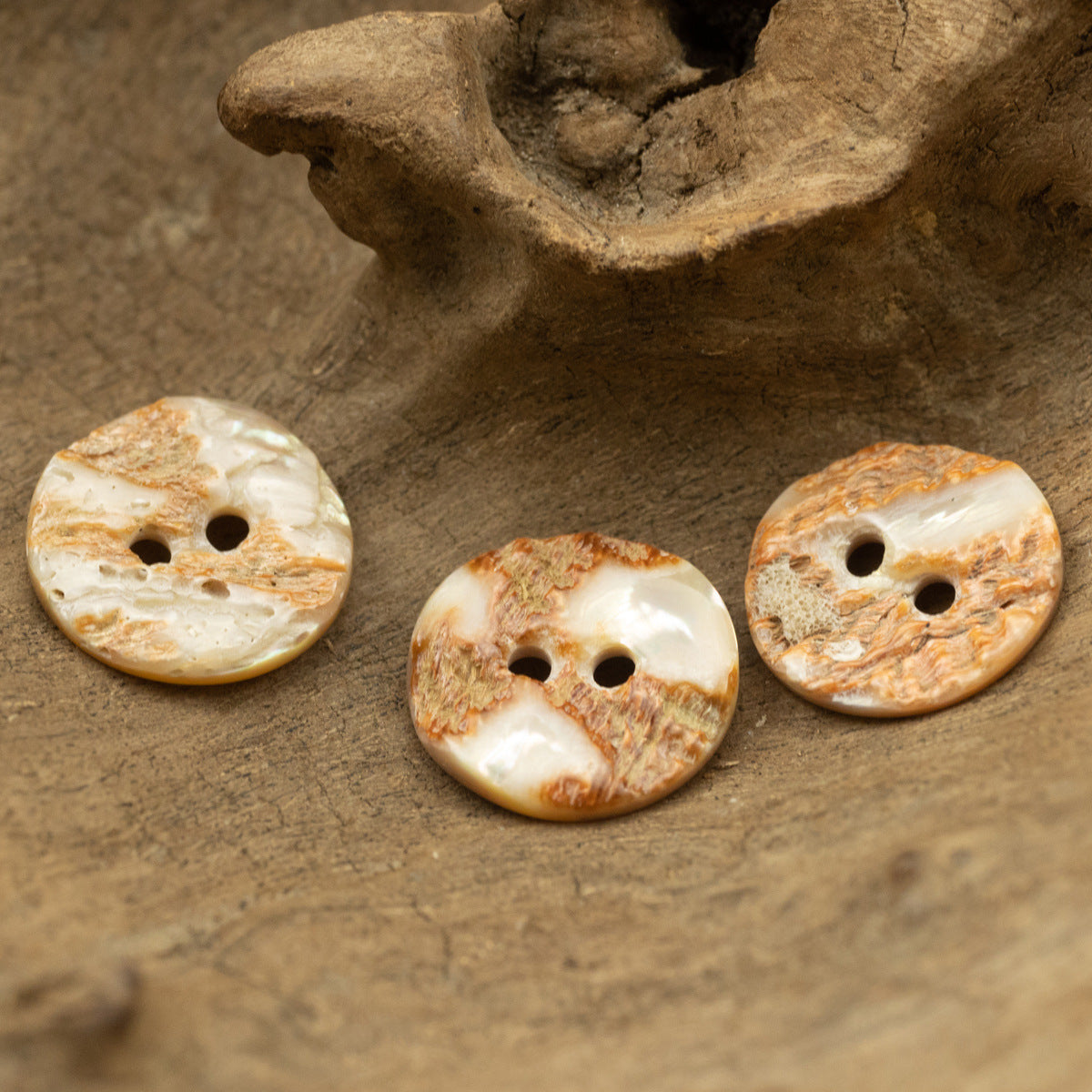 Irregular Curved Natural Abalone Shell Buttons 10 Pack - Lots of Buttons