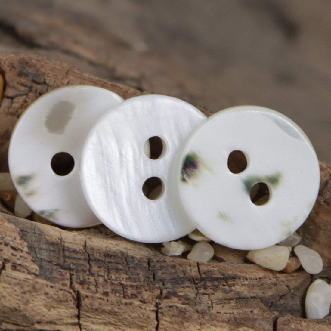 11.5mm Two-Hole Natural Fish-Eye Shell Buttons 10pcs - Lots of Buttons