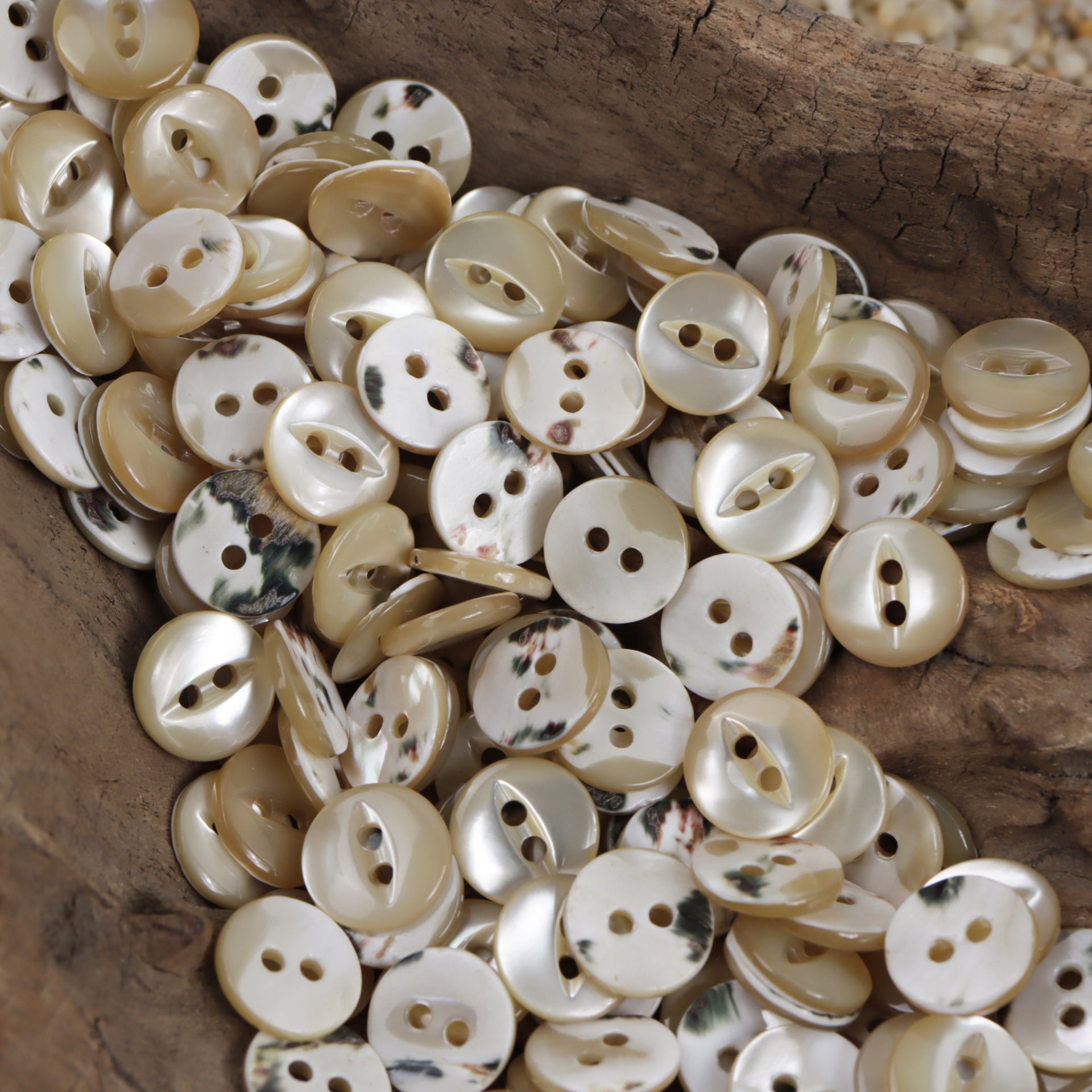 11.5mm Two-Hole Natural Fish-Eye Shell Buttons 10pcs - Lots of Buttons