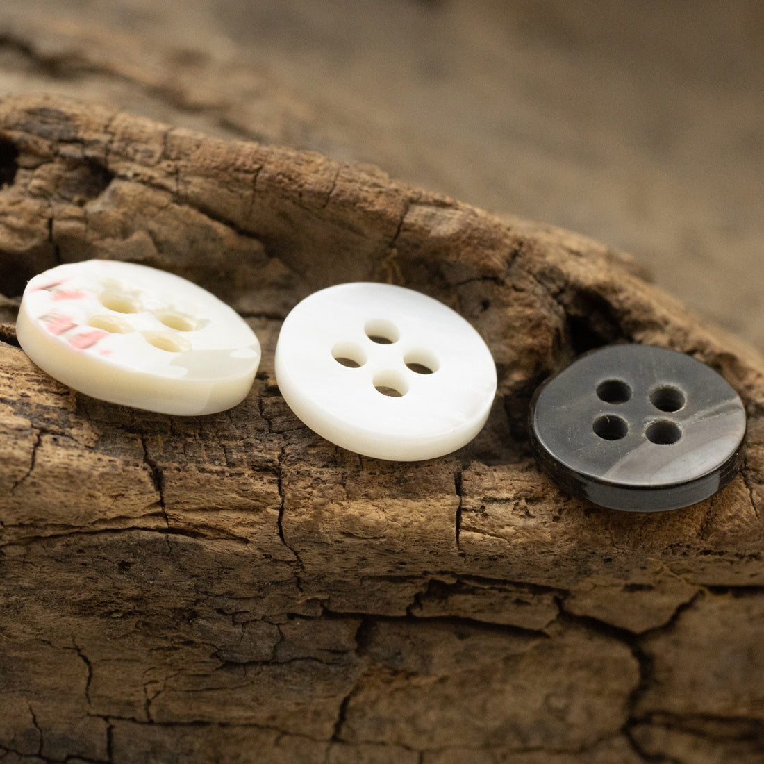 11.5mm Wide-Edged Off-White Iridescent Black Shell Buttons 6pcs - Lots of Buttons