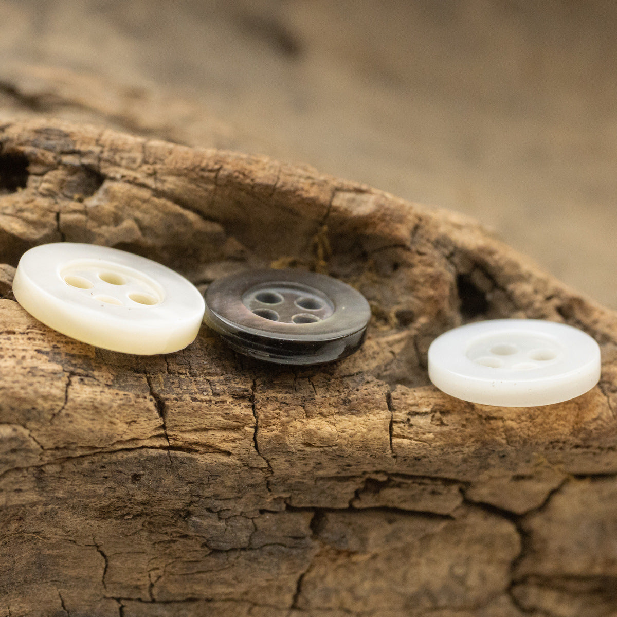 11.5mm Wide-Edged Off-White Iridescent Black Shell Buttons 6pcs - Lots of Buttons