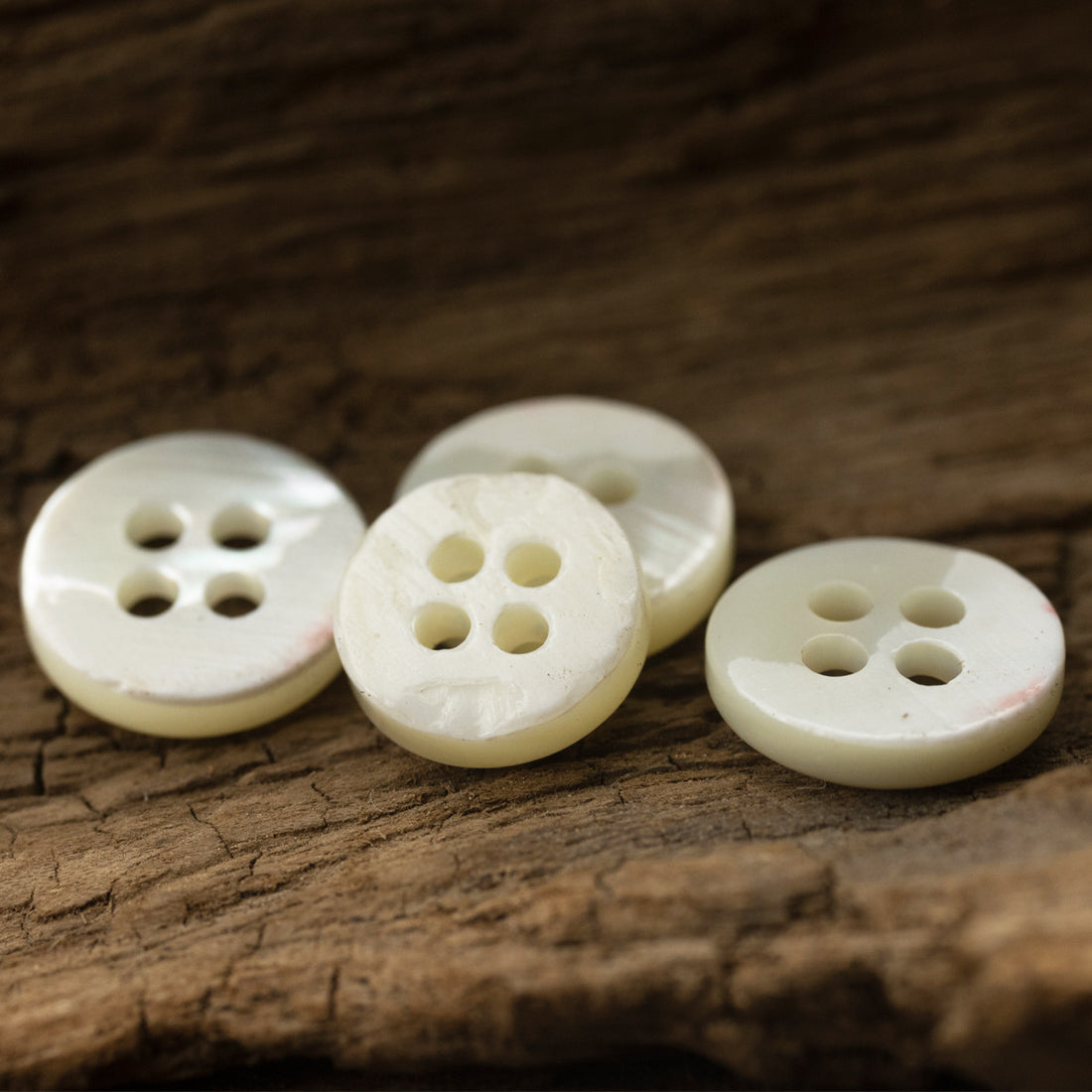 Beige Shell Buttons for Retro Silk Shirts Dresses 10pcs - Lots of Buttons