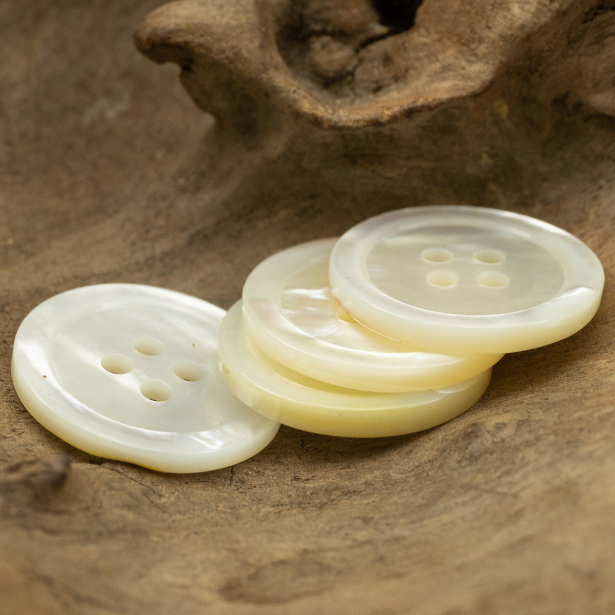 23mm Natural Off-White Genuine Shell Buttons for Custom Silk Shirts 2pcs - Lots of Buttons