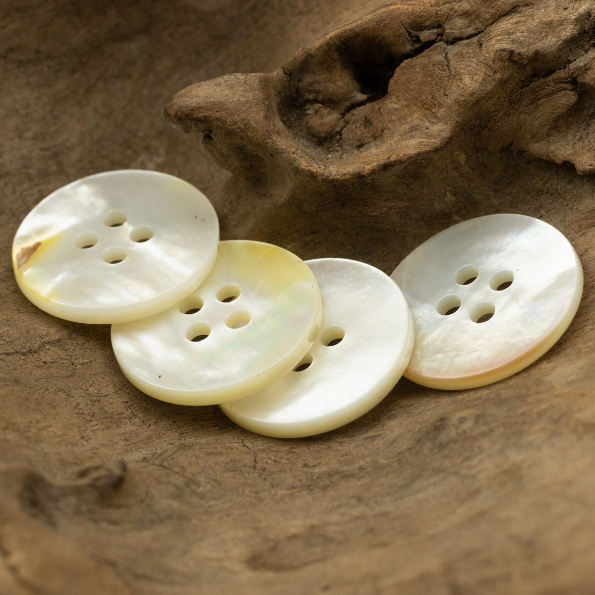 23mm Natural Off-White Genuine Shell Buttons for Custom Silk Shirts 2pcs - Lots of Buttons