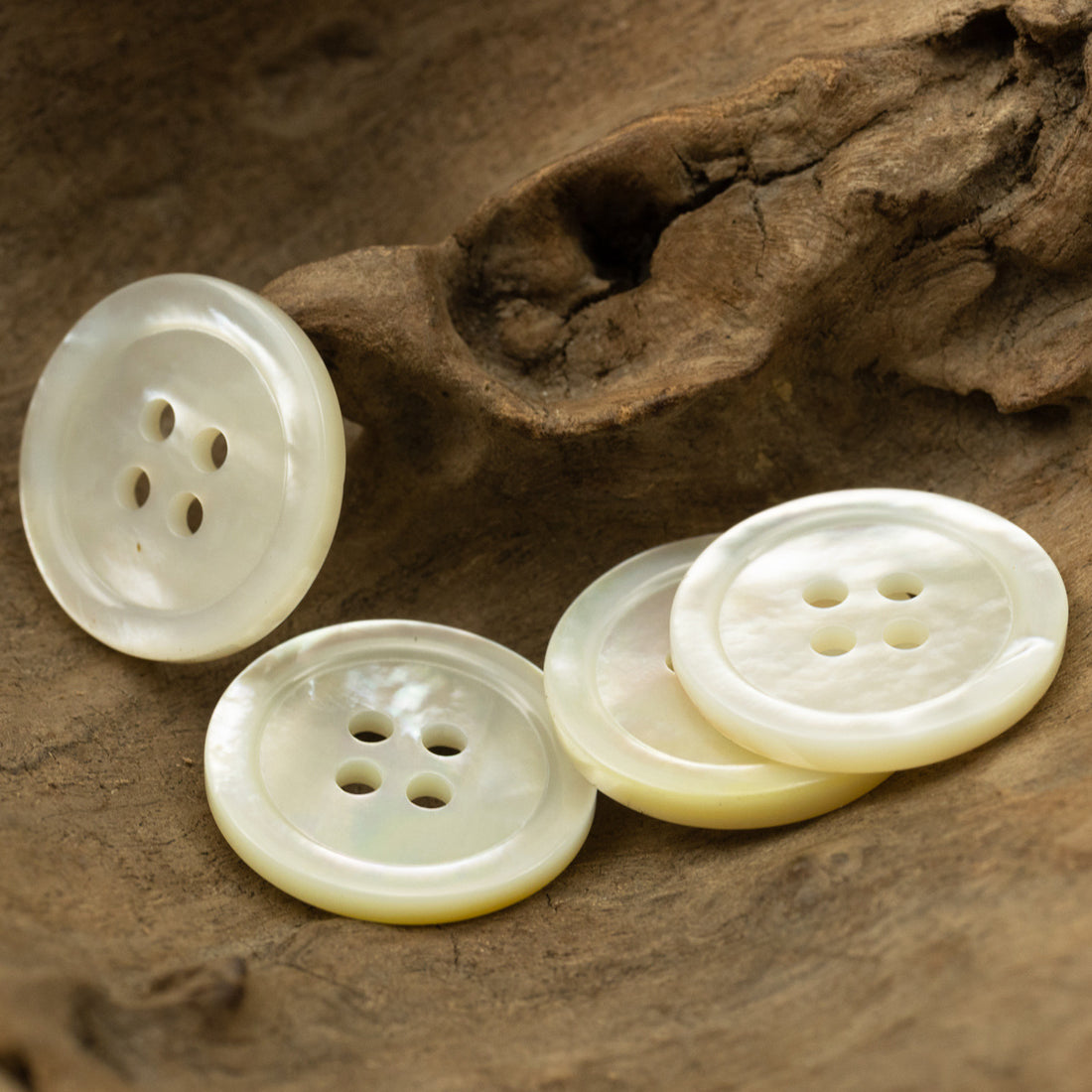 23mm Natural Off-White Genuine Shell Buttons for Custom Silk Shirts 2pcs - Lots of Buttons