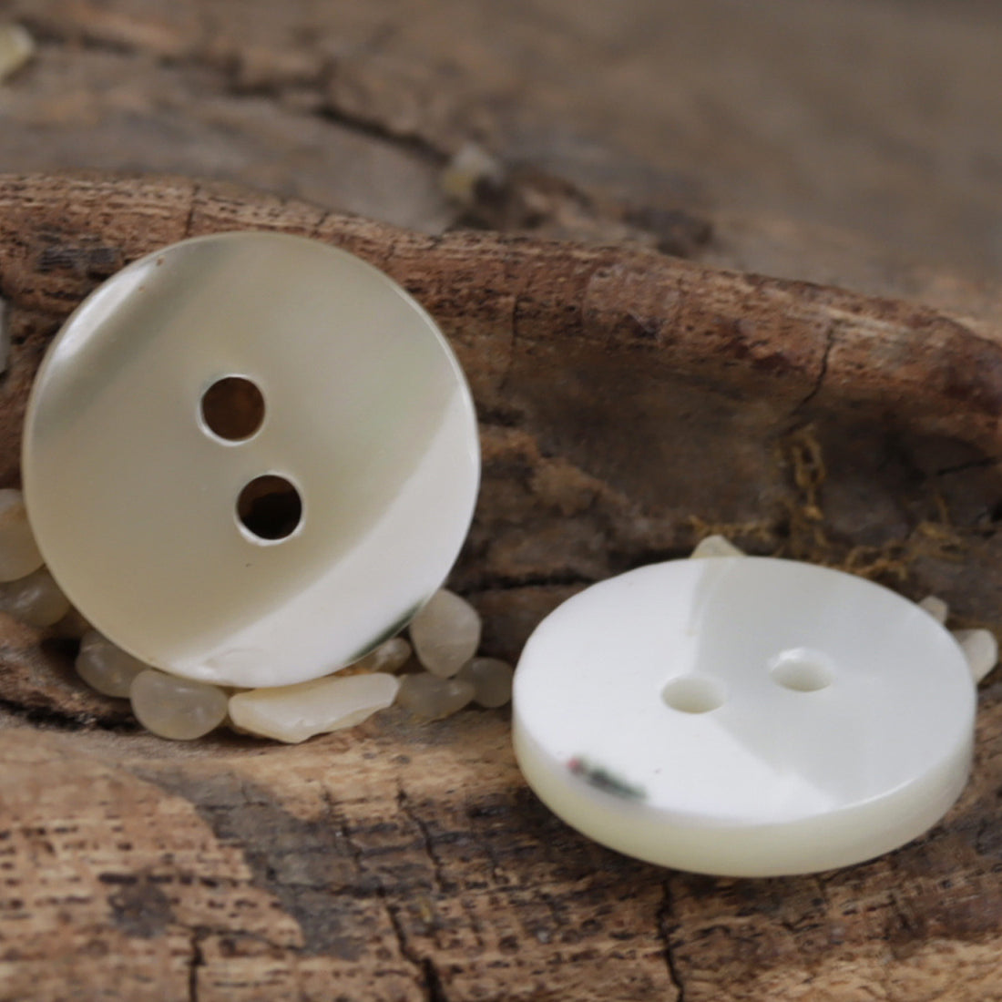 2 Hole Natural Beige Shell Buttons for Luxury Silk Shirts 20 Pack - Lots of Buttons