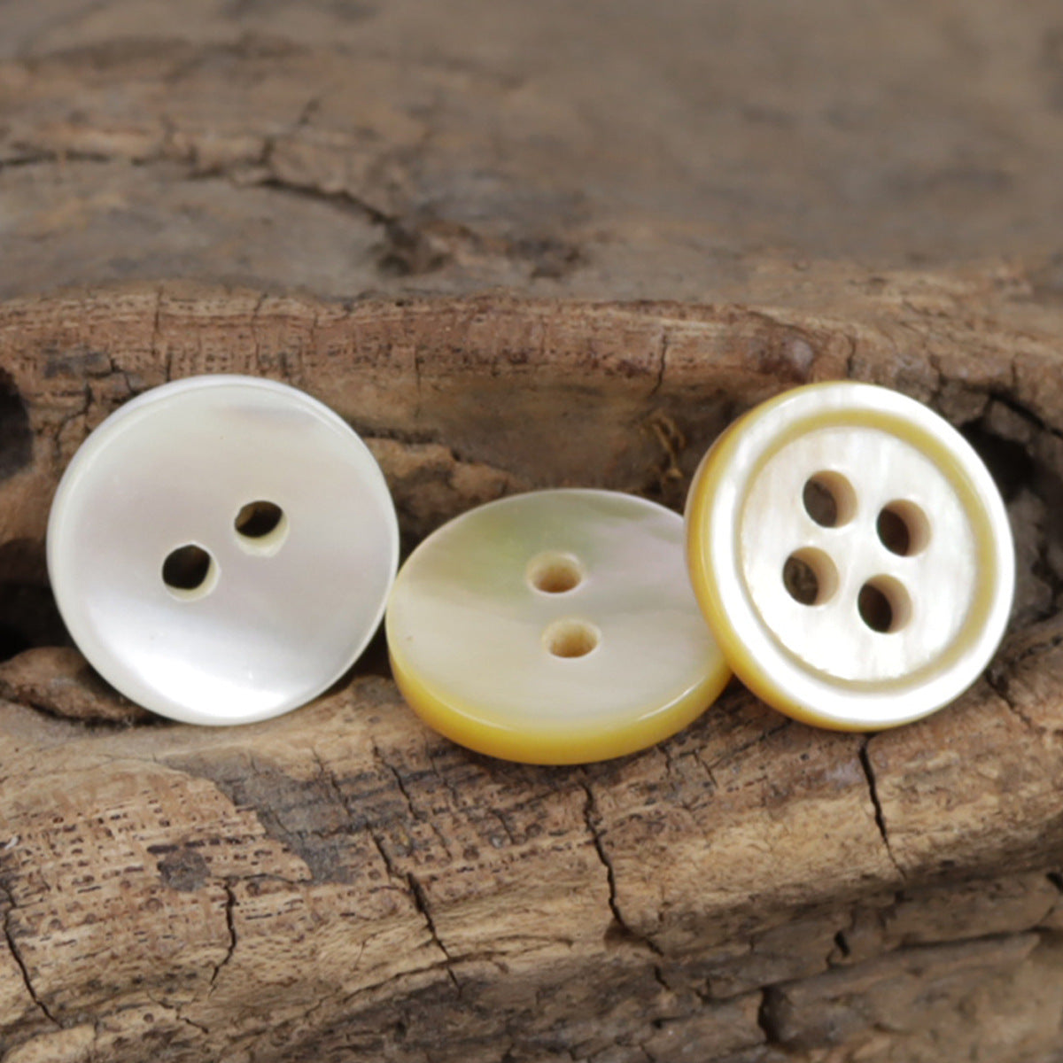 11mm Off-White Real Shell Buttons for DIY Jewelry Bracelets 30 Pack - Lots of Buttons