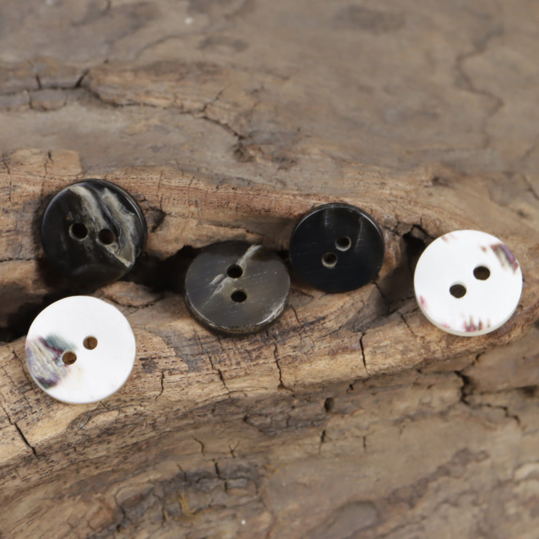Natural Beige Shell Buttons for Wedding Haute Couture Shirts 10pcs - Lots of Buttons