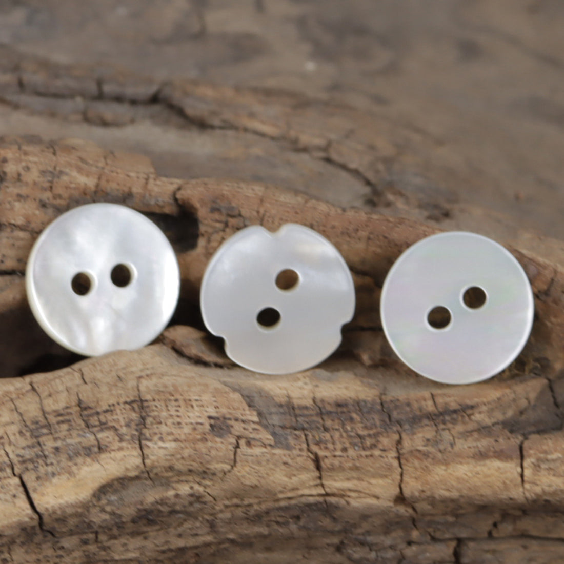 Natural White Maple Leaf-Shaped Spiral Two-Hole Shell Buttons 10PCS - Lots of Buttons
