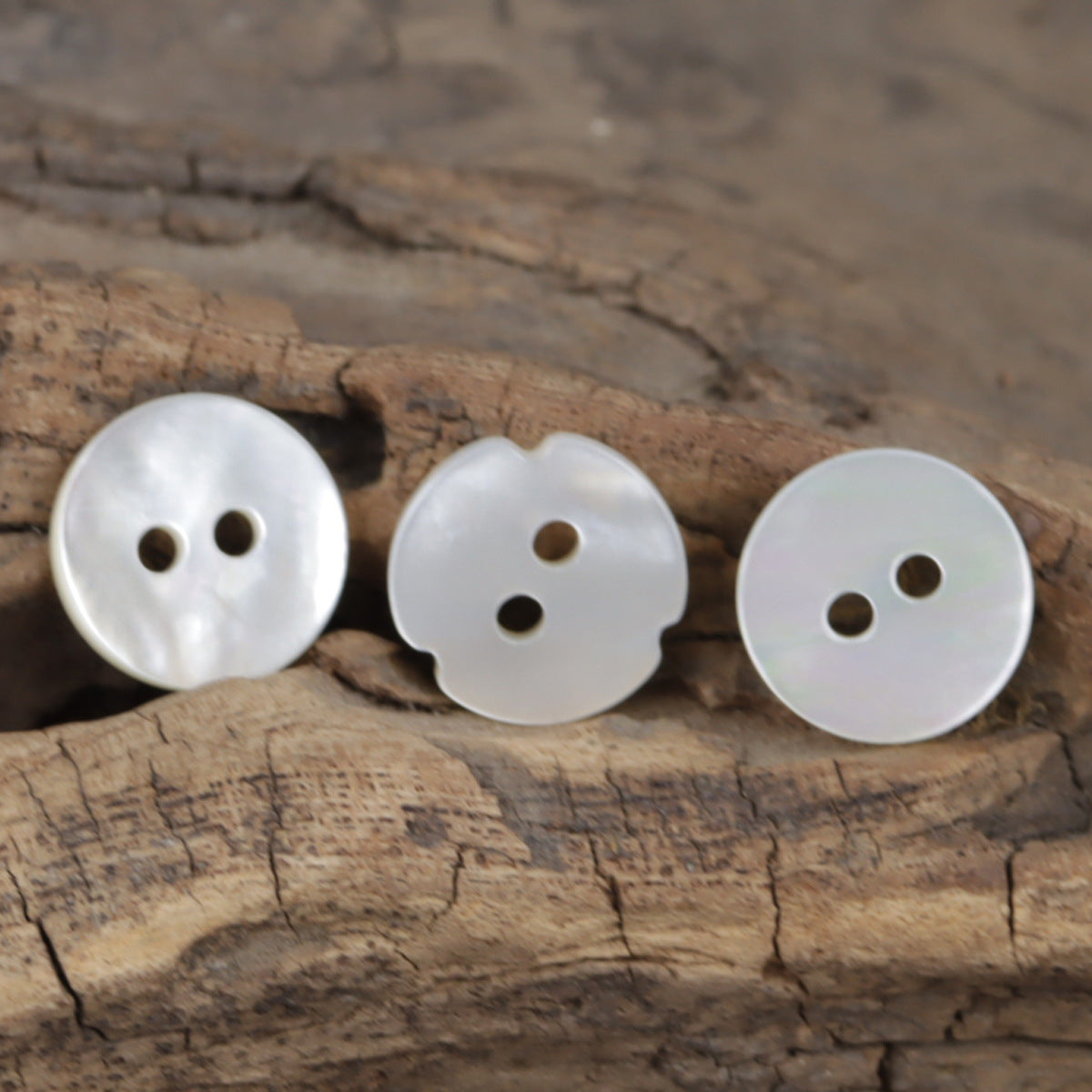 Natural White Maple Leaf-Shaped Spiral Two-Hole Shell Buttons 10PCS - Lots of Buttons
