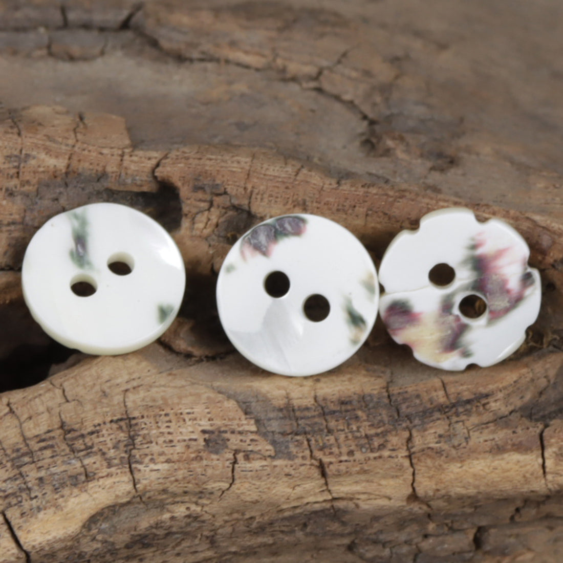 Laser-Engraved Natural Off-White Two-Hole Shell Buttons 10pcs - Lots of Buttons