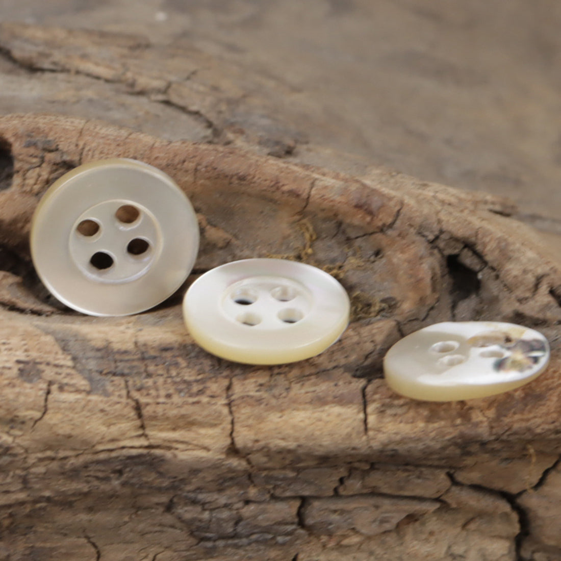 Wide-Edged Natural Beige Original Color Shell Flower Base Buttons 10pcs - Lots of Buttons