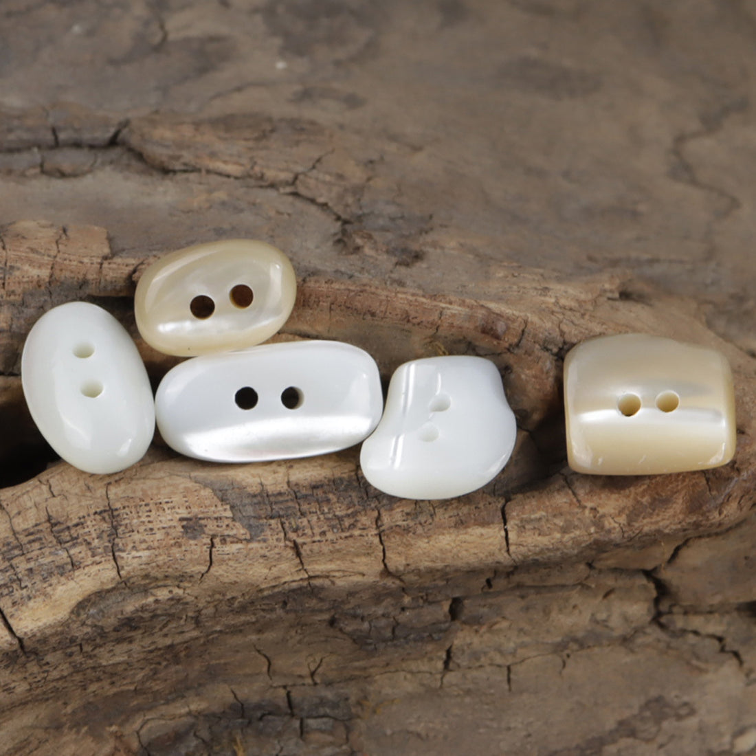 Irregular Oval Creamy White Light Yellow Shell Buttons for Shirts 10pcs - Lots of Buttons