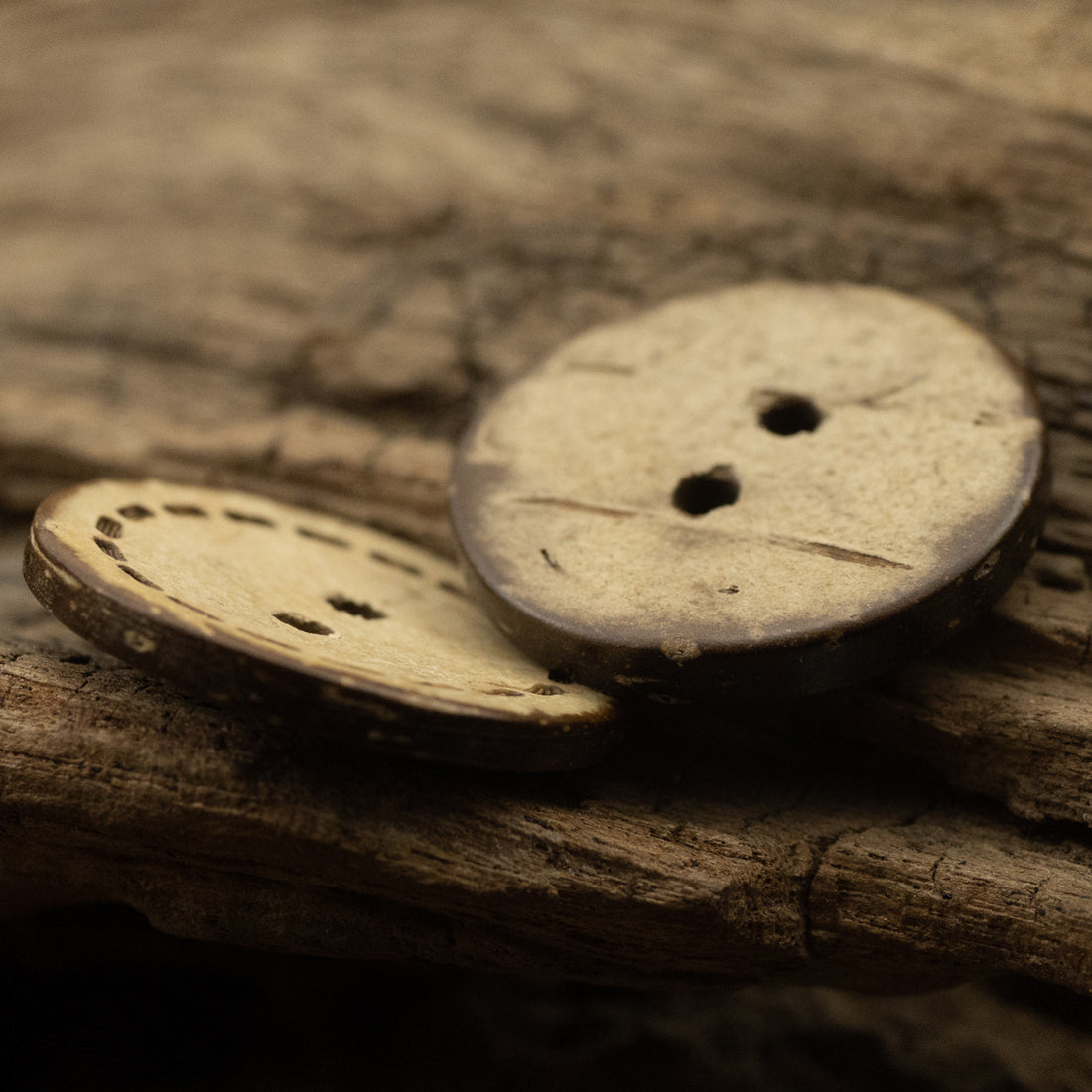 Round Dotted Two-Hole Flat Coconut Shell Buttons 100pcs - Lots of Buttons