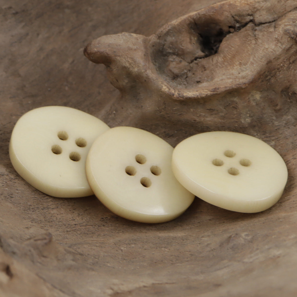 Fire Burned Beige Irregular Bowl Shaped Natural Corozo Buttons,10pcs - Lots of Buttons