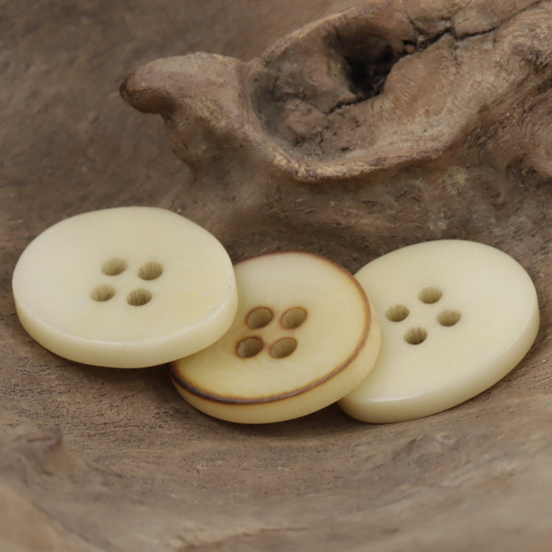 Fire Burned Beige Irregular Bowl Shaped Natural Corozo Buttons,10pcs - Lots of Buttons