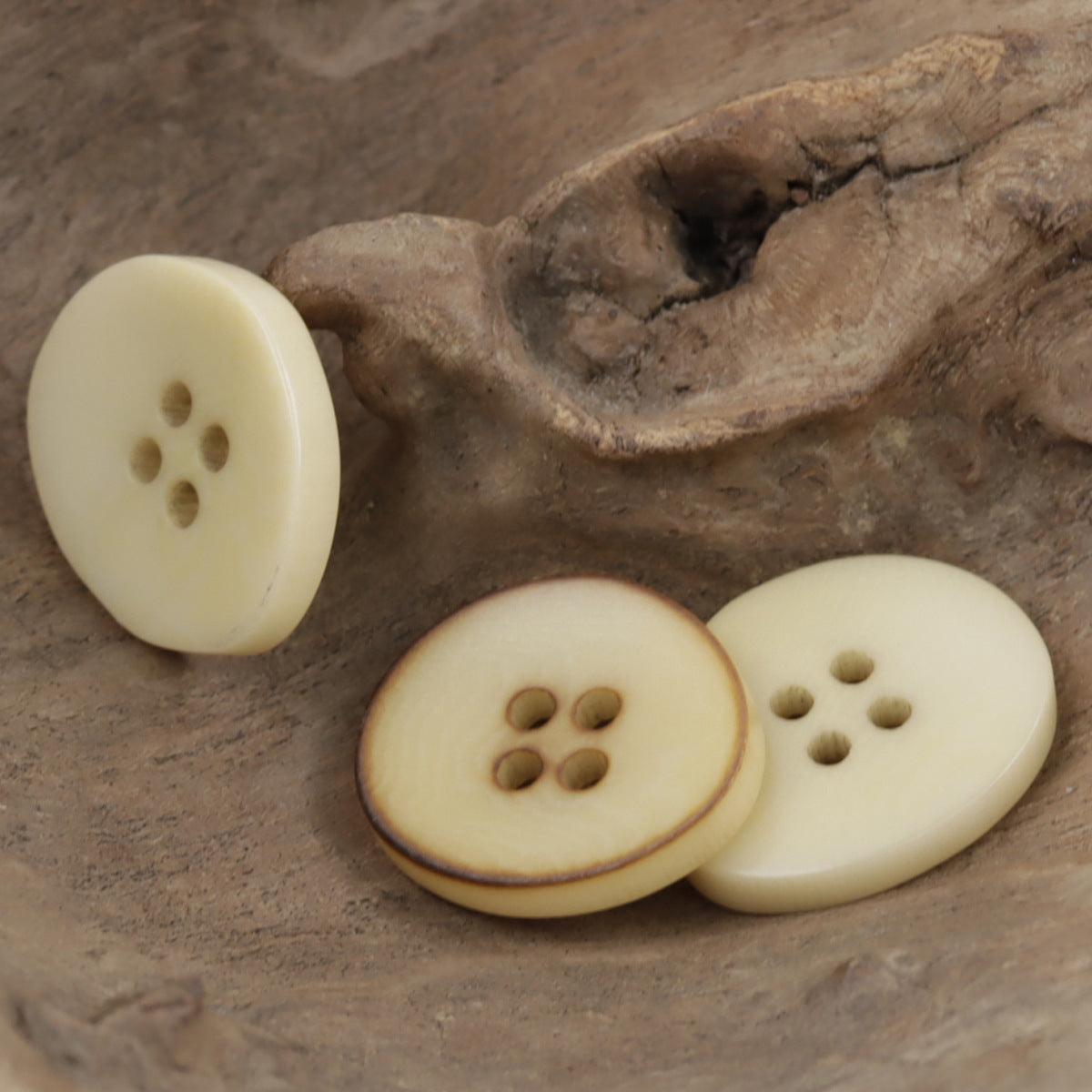 Fire Burned Beige Irregular Bowl Shaped Natural Corozo Buttons,10pcs - Lots of Buttons