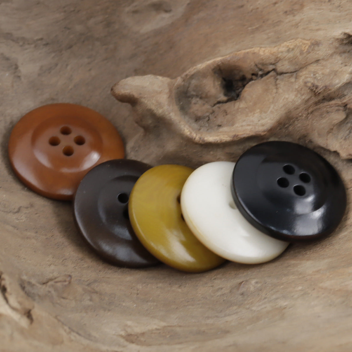 Wide-Edged Burned Natural Palm Fruit Nut Corozo Buttons 10 Pcs - Lots of Buttons