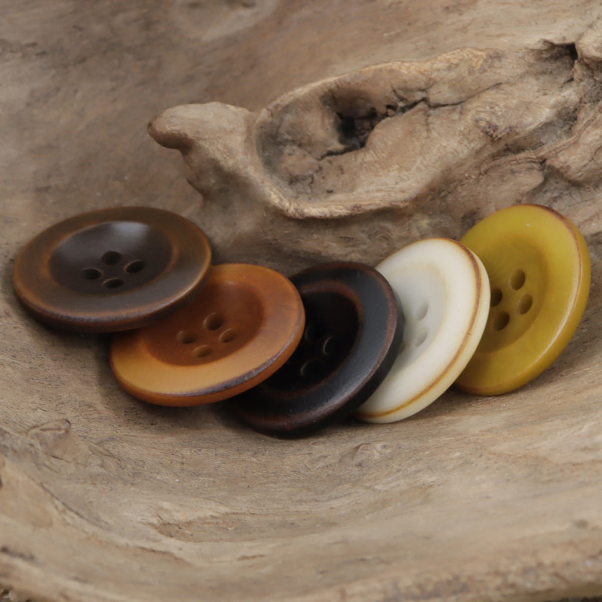 Wide-Edged Burned Natural Palm Fruit Nut Corozo Buttons 10 Pcs - Lots of Buttons