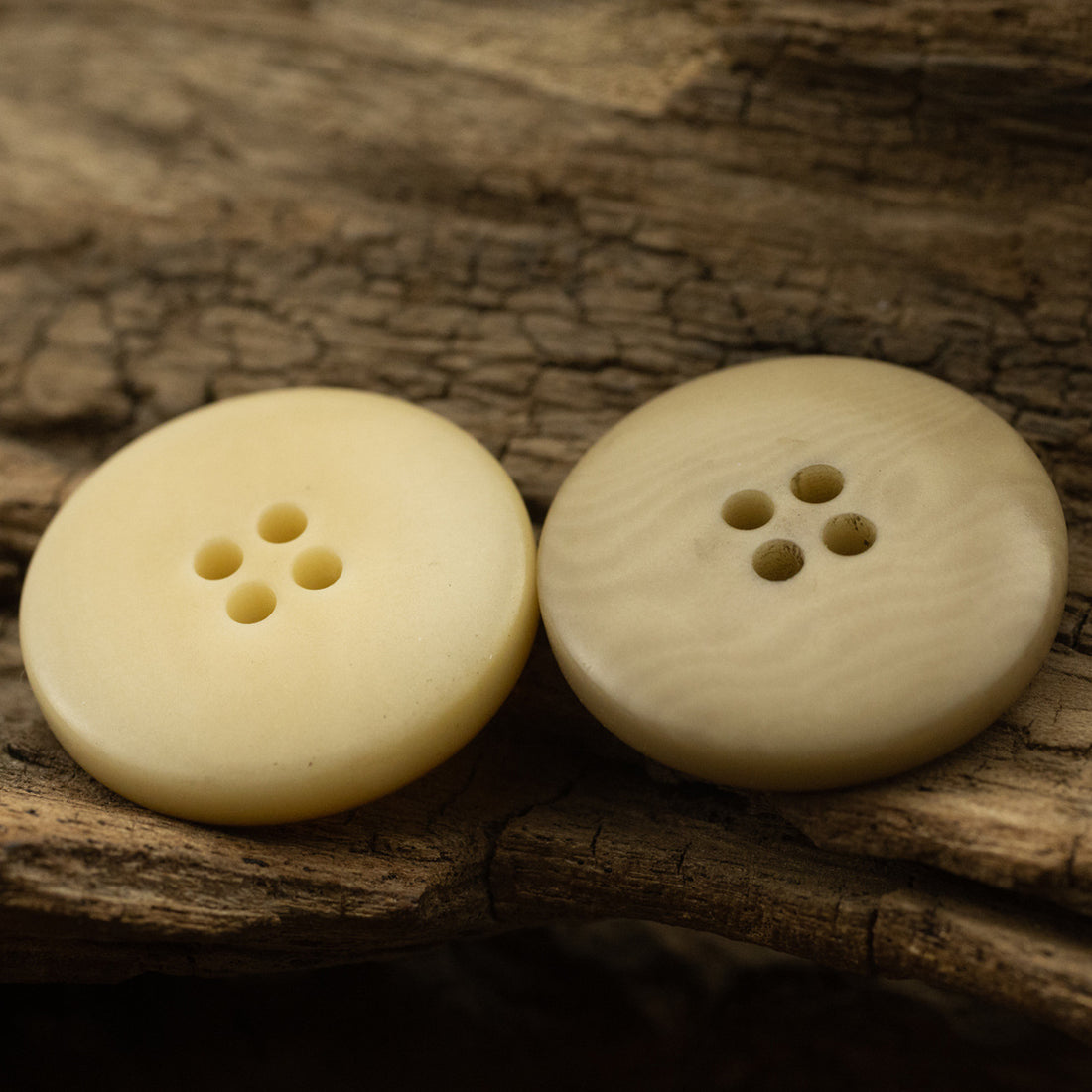 Burnt Yellow Natural Fruit Buttons for Retro Linen Shirts 10pcs - Lots of Buttons