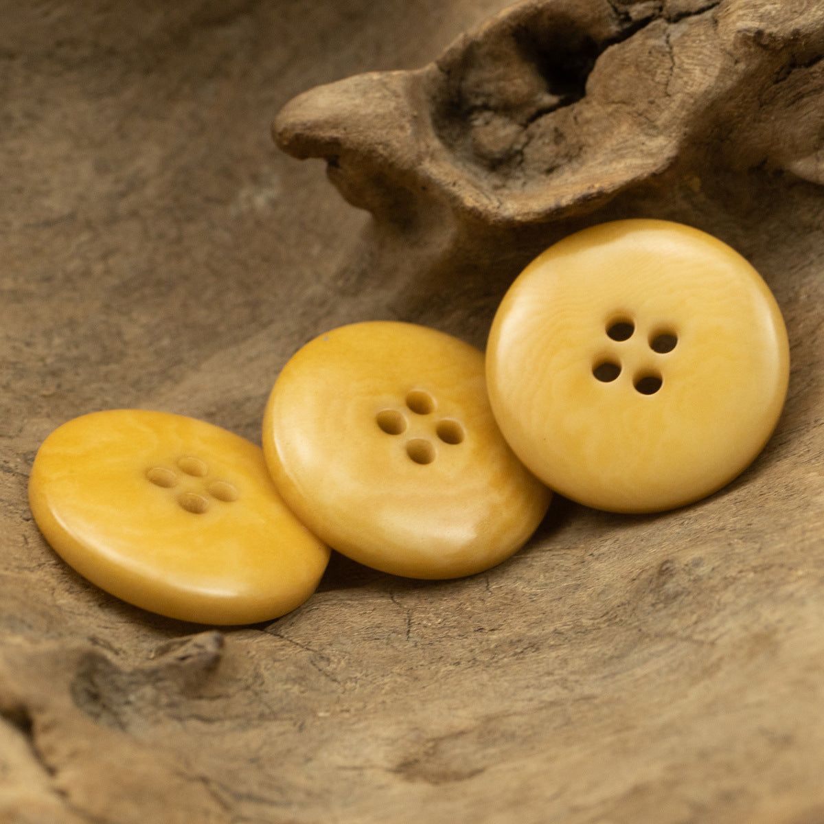 Wide-Brim Yellow Tagut Nut Buttons for Linen Cotton Suit 10pcs - Lots of Buttons
