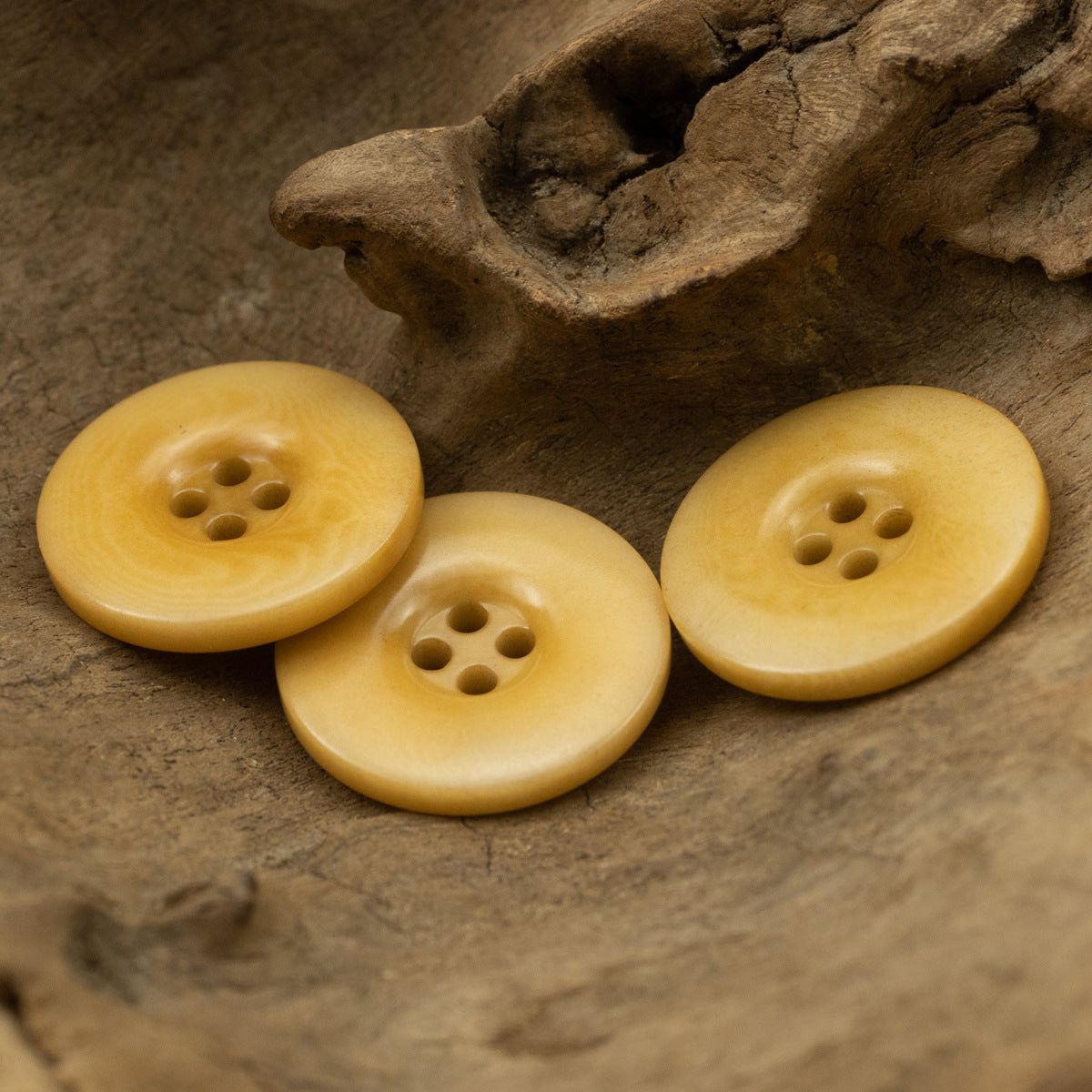 Wide-Brim Yellow Tagut Nut Buttons for Linen Cotton Suit 10pcs - Lots of Buttons