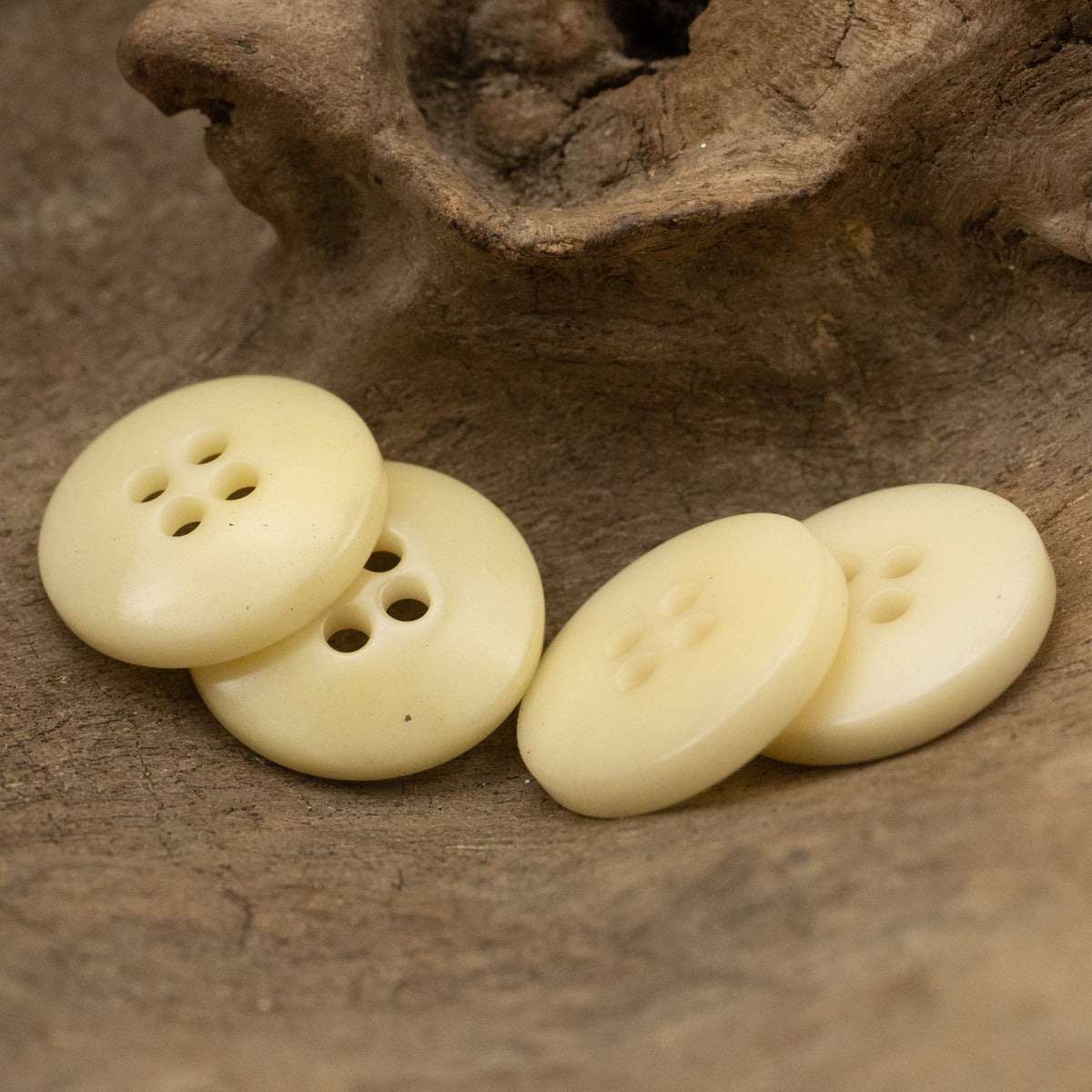 Light Beige Bowl-Shaped Four-Hole Natural Fruit Tagut Nut Buttons 10pcs - Lots of Buttons