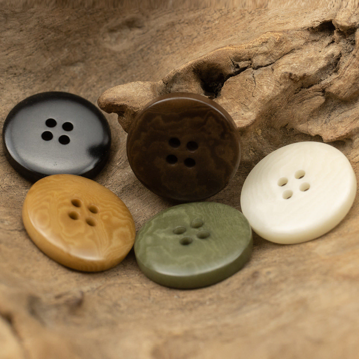 Vintage Thick-Edged Natural Fruit Tagut Nut Buttons for Jackets 10pcs - Lots of Buttons