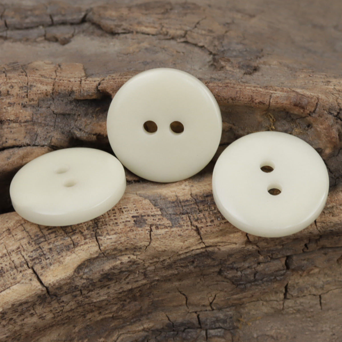 15mm Wide-Edged Simple Beige Two-Hole Natural Fruit Tagut Nut Buttons 10pcs - Lots of Buttons