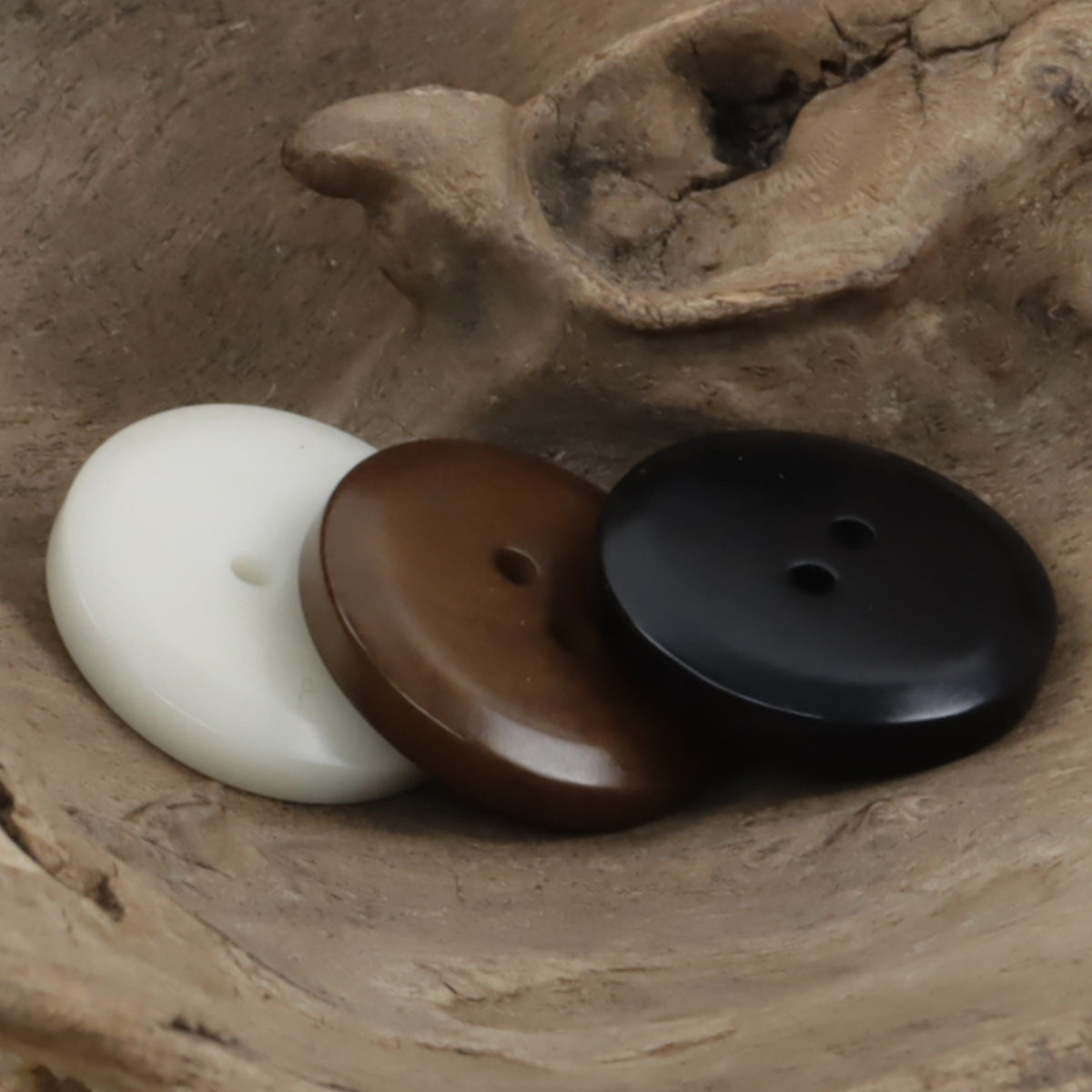 Round Two Hole Fish-Eye Thin-Edged Natural Corozo Buttons,10pcs - Lots of Buttons