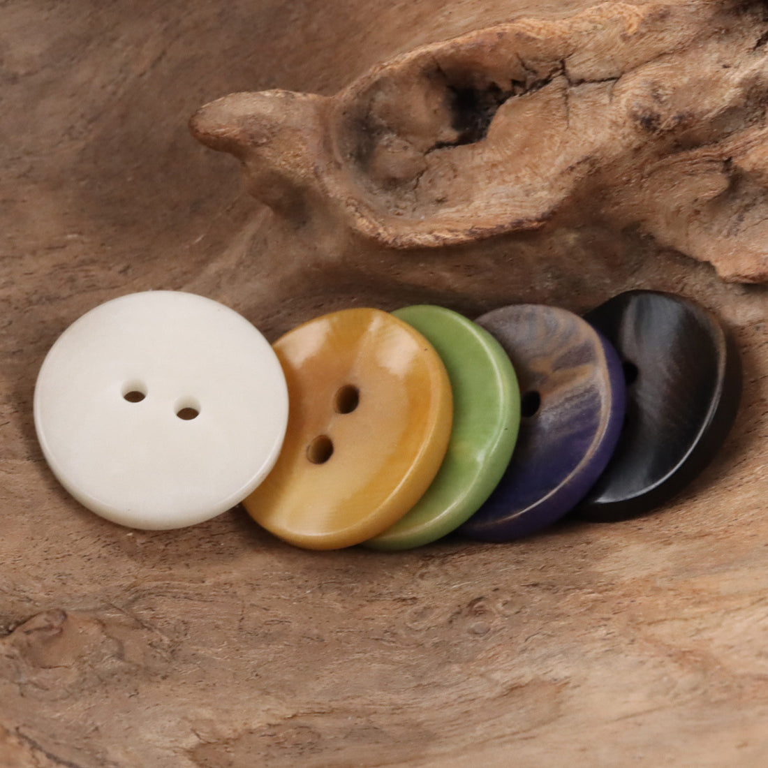 Curved Wave Natural Corozo Tagua Nut Buttons 10PCS - Lots of Buttons