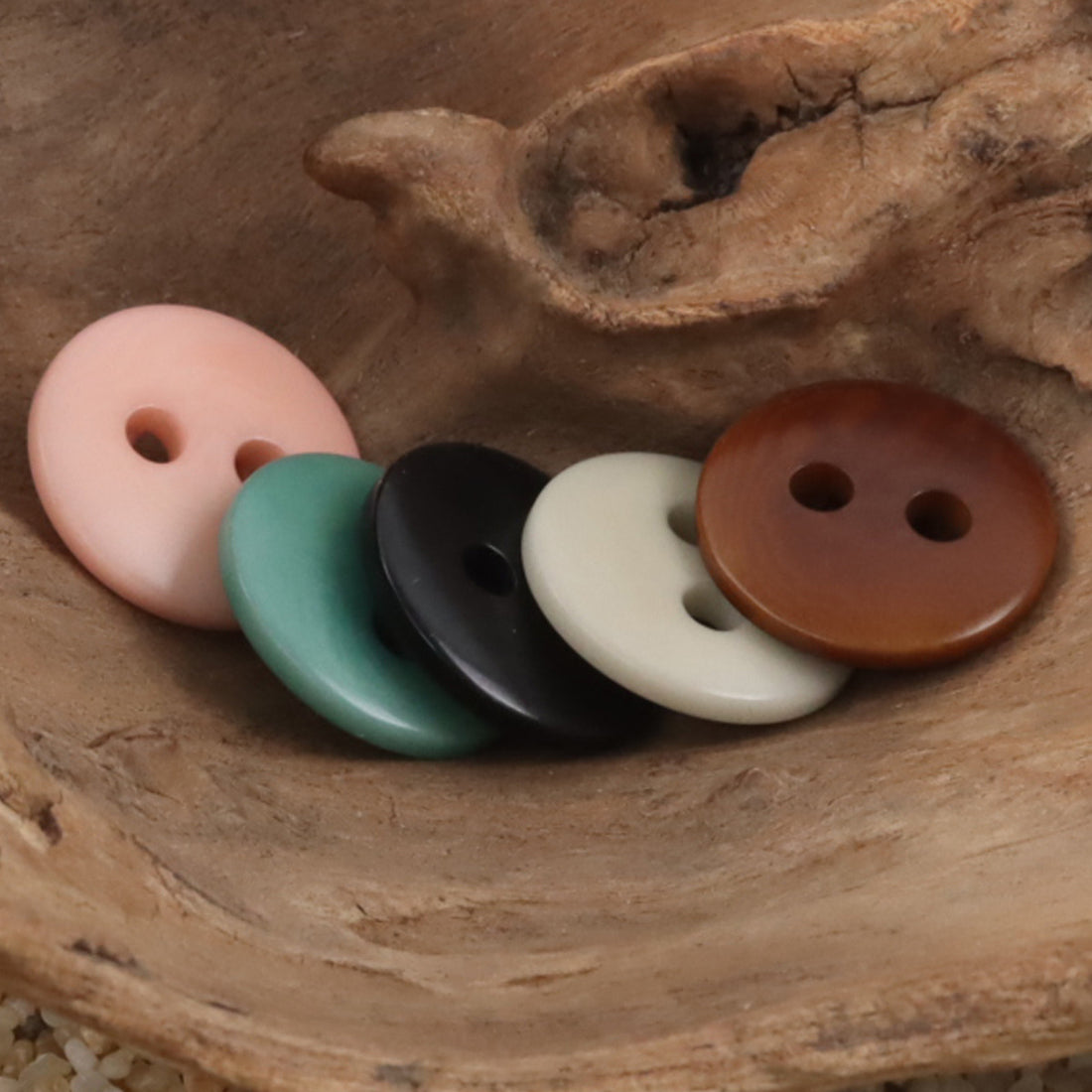 Creative Circle Two-Hole Natural Tagua Nut Buttons,10pcs - Lots of Buttons