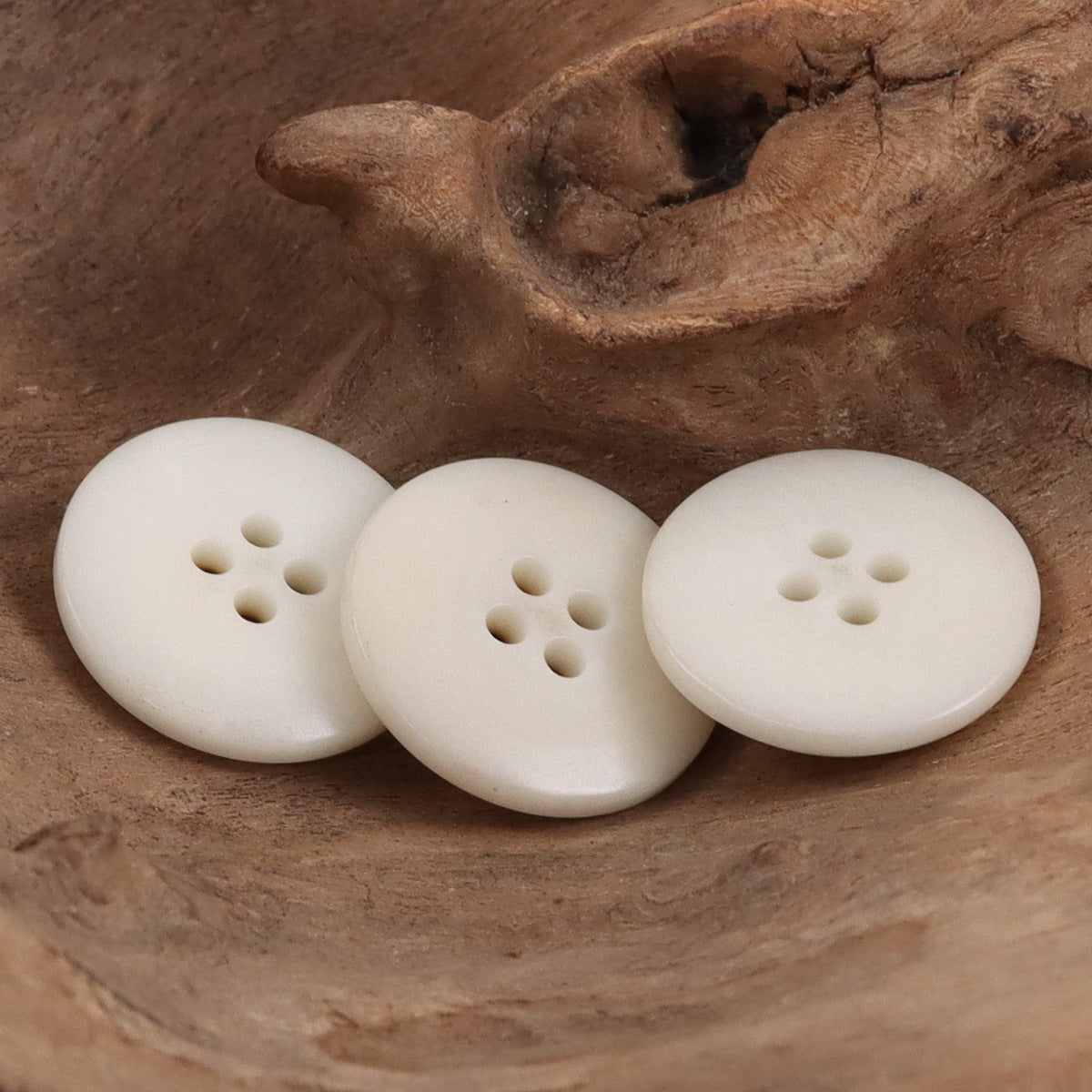 Burnt Ochre Yellow Natural Tagut Nut Buttons for Designer Tailor 10pcs - Lots of Buttons