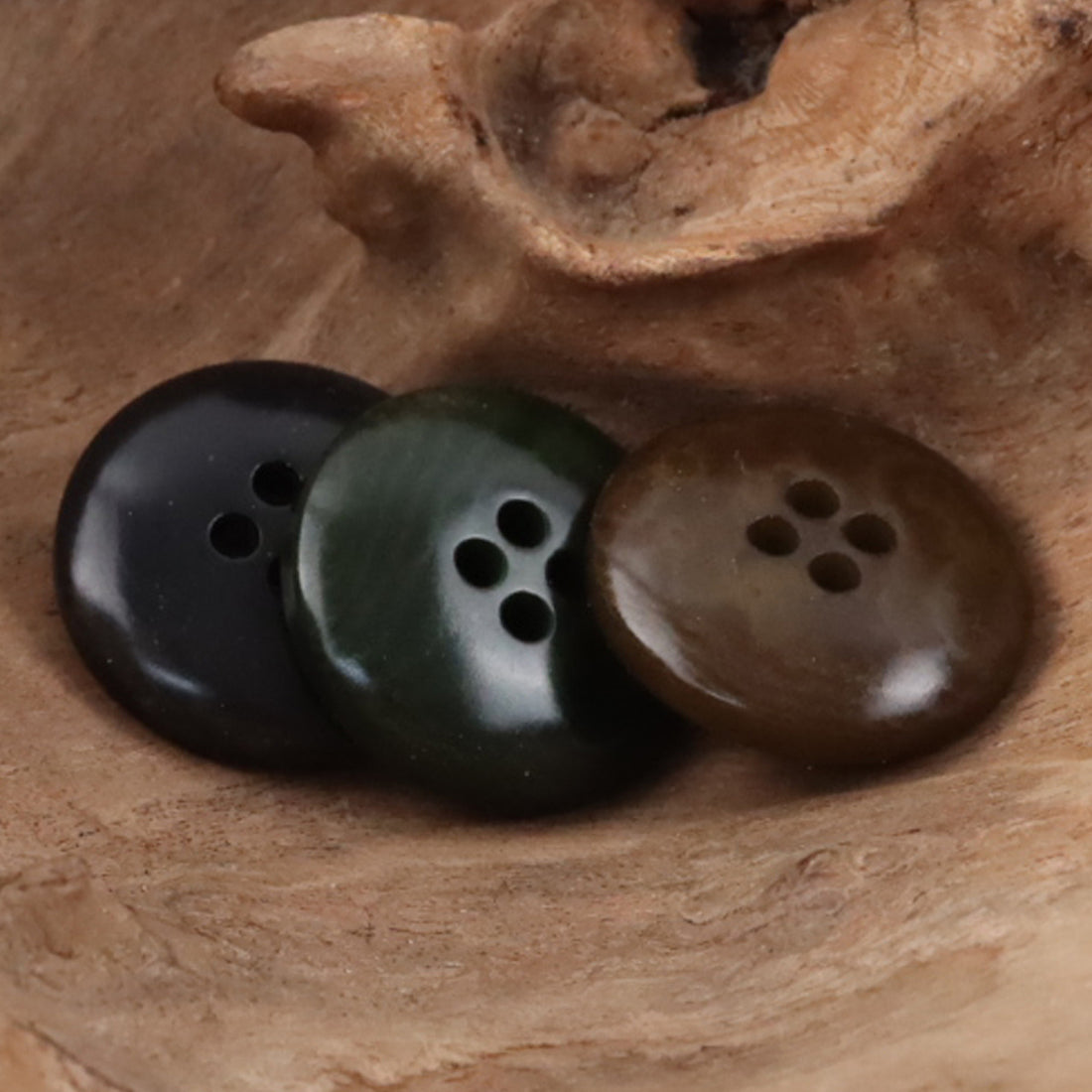 Green Natural Tagut Nut Buttons for Men's Formal Suits 10pcs 