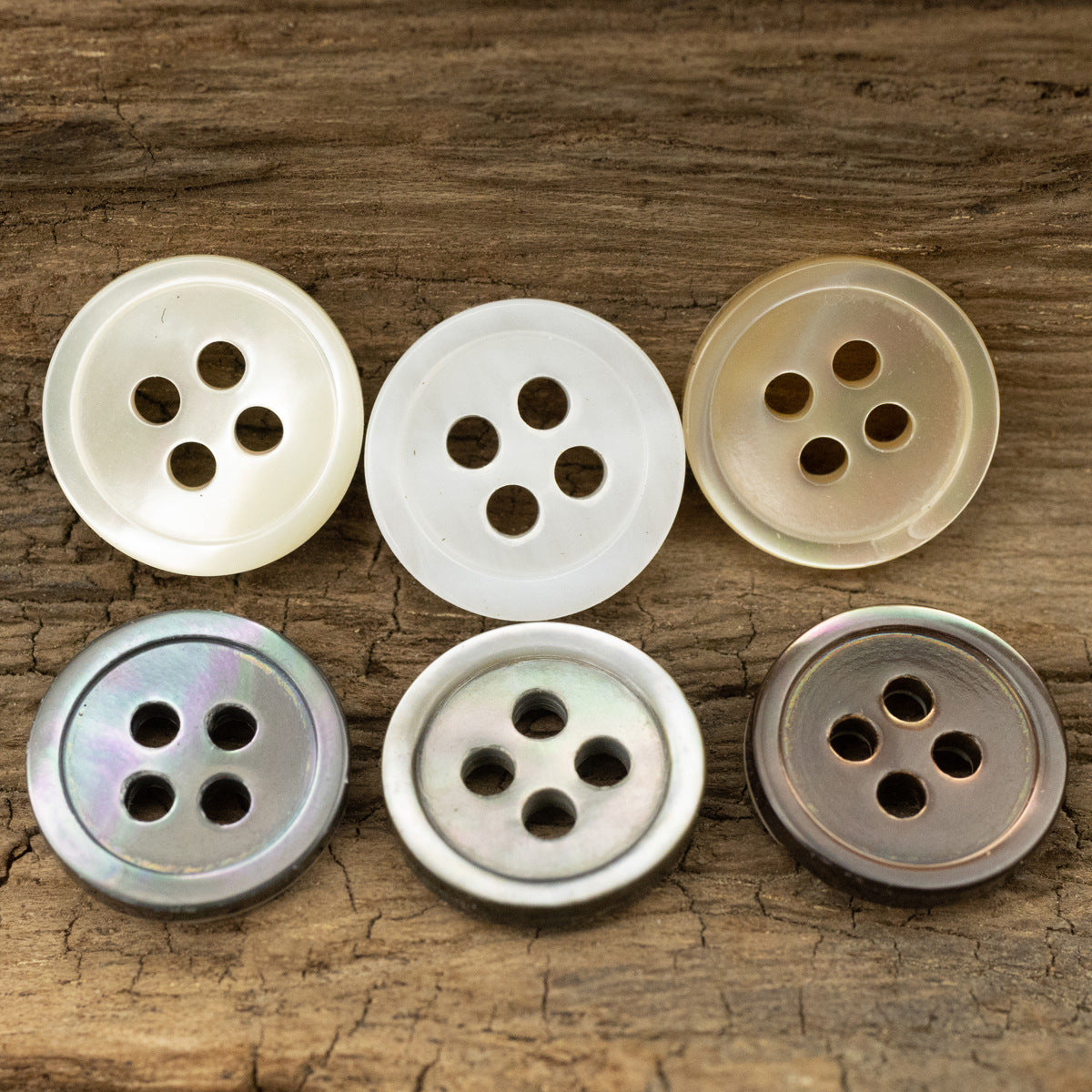 Tarot Shell Buttons Round 11.5mm 10 Pack - Lots of Buttons