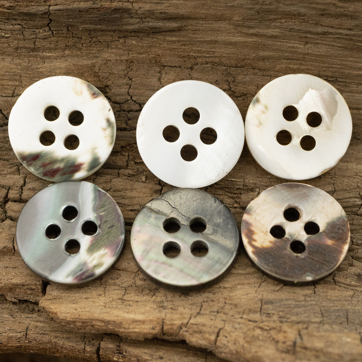 Tarot Shell Buttons Round 11.5mm 10 Pack - Lots of Buttons