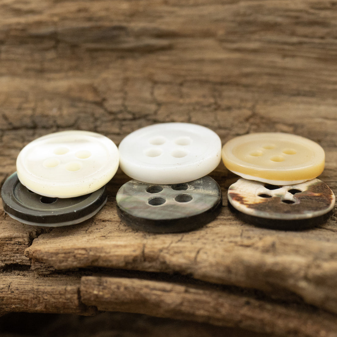 Tarot Shell Buttons Round 11.5mm 10 Pack - Lots of Buttons