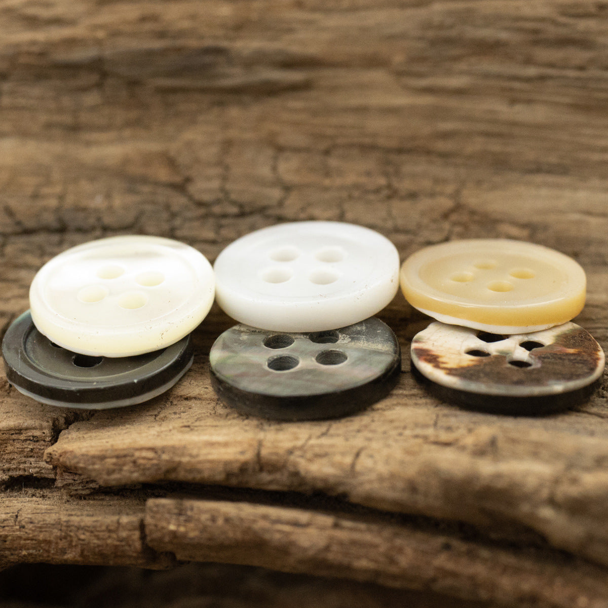 Tarot Shell Buttons Round 11.5mm 10 Pack - Lots of Buttons